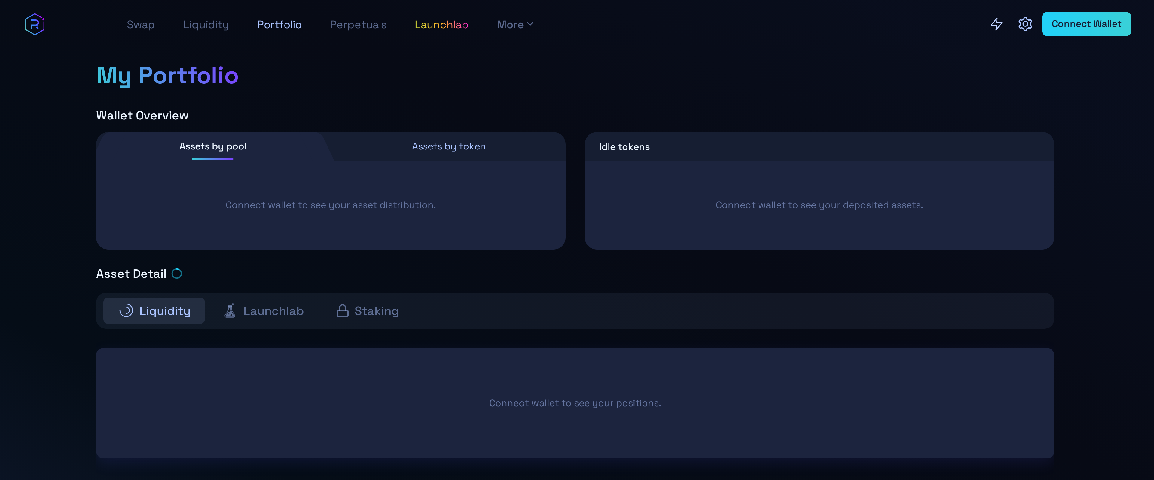Raydium Portfolio page with Wallet Overview and Asset Detail panels prompting a visitor to connect their wallet
